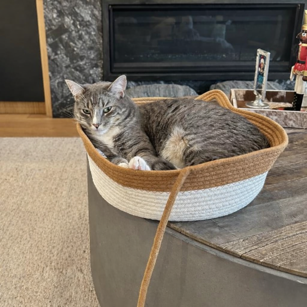 Cesta Natural para Gatos-Su Espacio Seguro en Casa