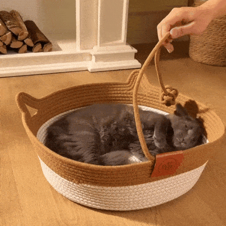 Cesta Natural para Gatos-Su Espacio Seguro en Casa